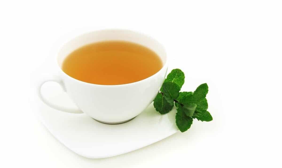 What Tea is Good For Bloating