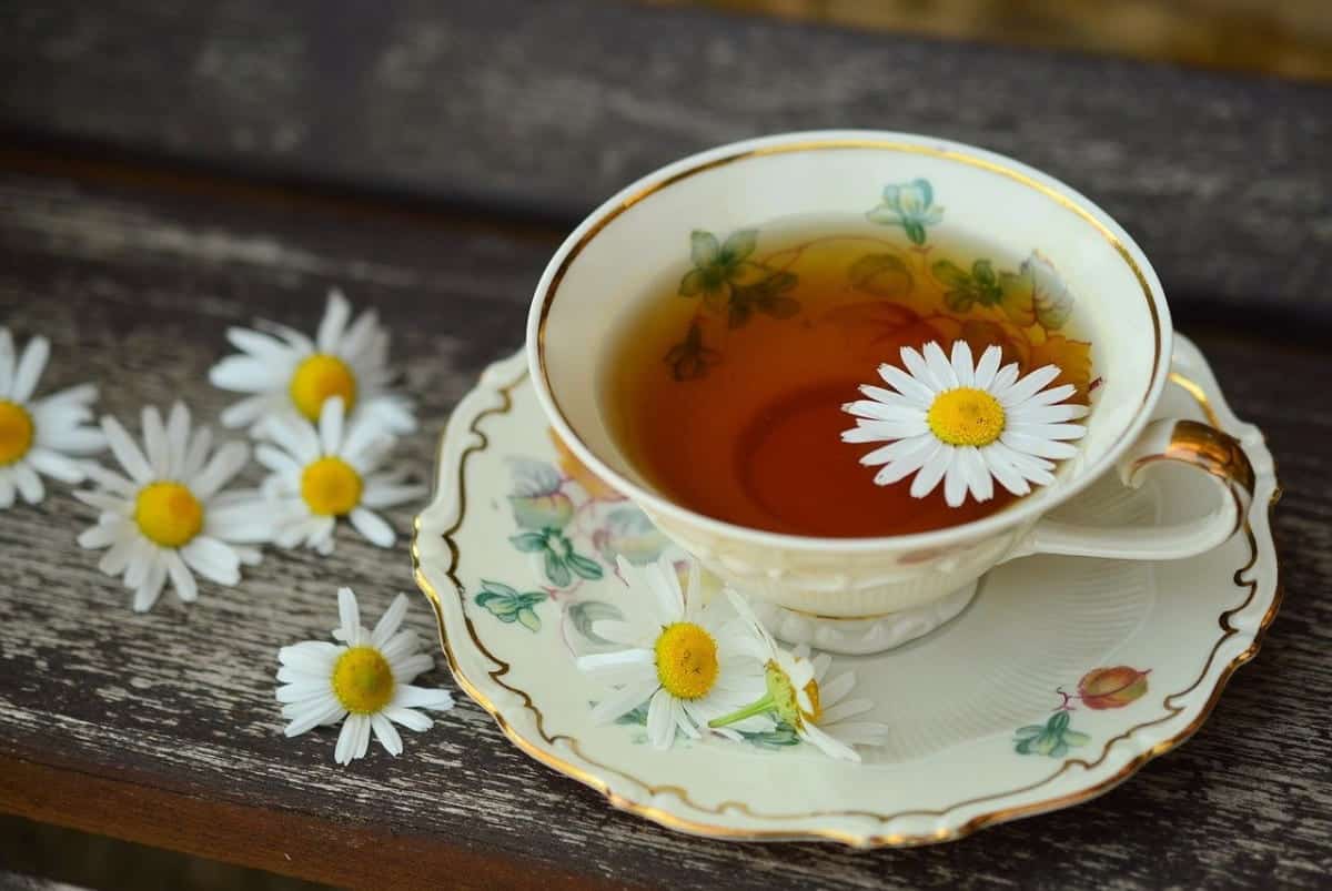 Main Benefits Of Chamomile Tea For Skin, Heart, Hair