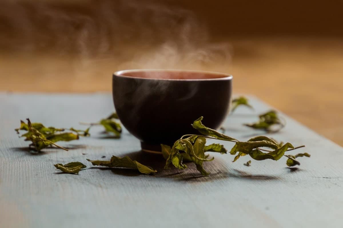 Green Tea Kombucha Recipe