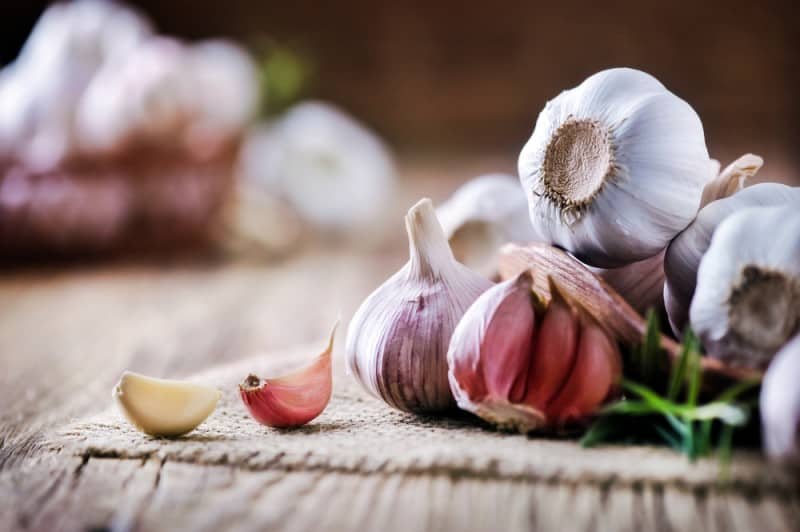 Basics About Garlic