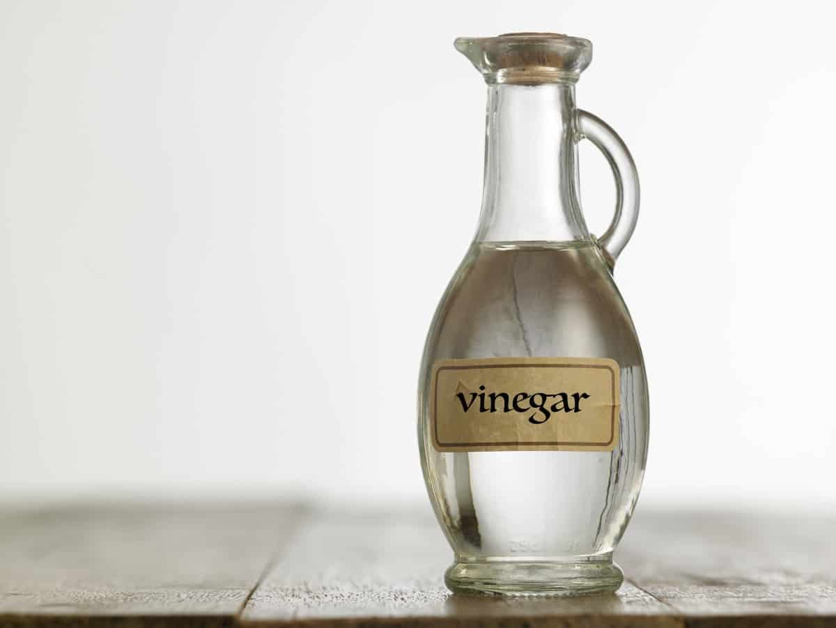 Does Vinegar Go Bad