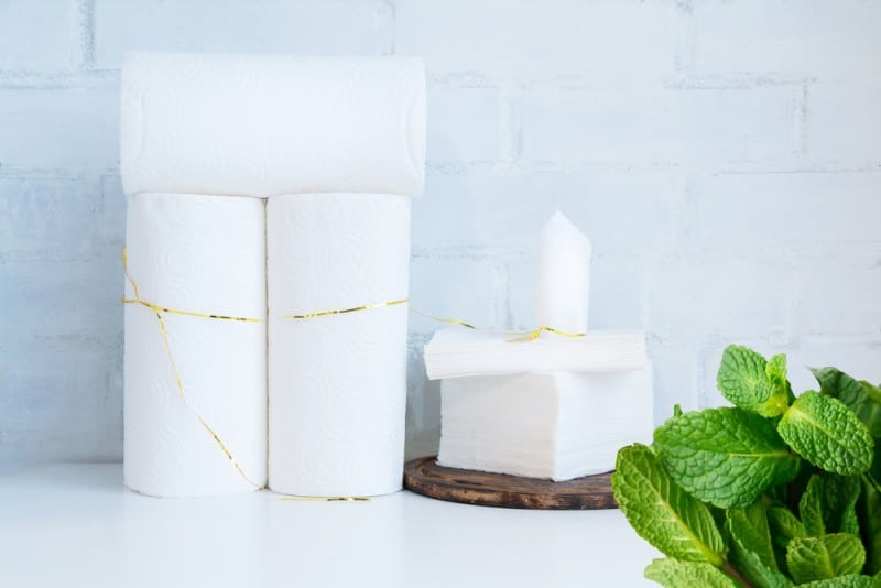 Wrap The Mint Stems In Damp Paper Towel