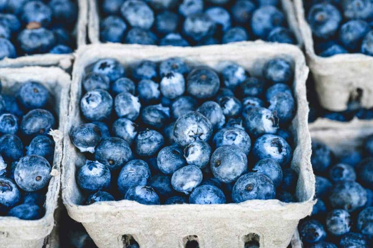 Are Blueberries Acidic-Eat Or Skip It