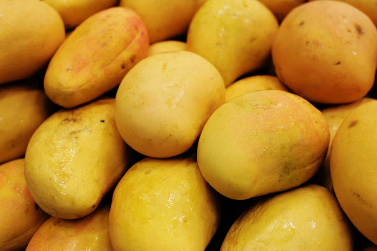 Are Mangoes Very Acidic-Acid Reflux Remedies