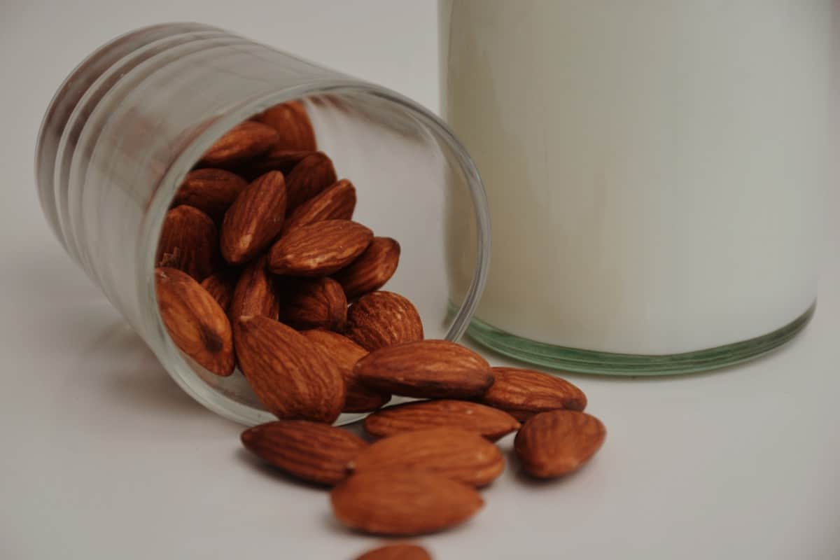Is Almond Milk An Acid Reflux Soother-Let's Speak The Truth (2)